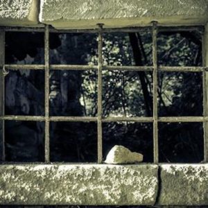 TRZECIA NIEDZIELA ADWENTU, 14.12.2025 TRZECIA NIEDZIELA ADWENTU, 14.12.2025