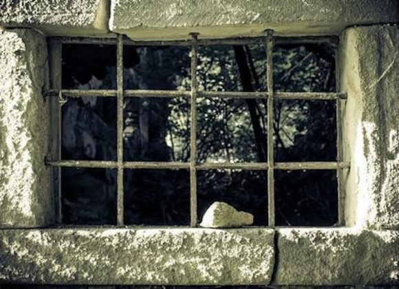 TRZECIA  NIEDZIELA  ADWENTU, 14.12.2025